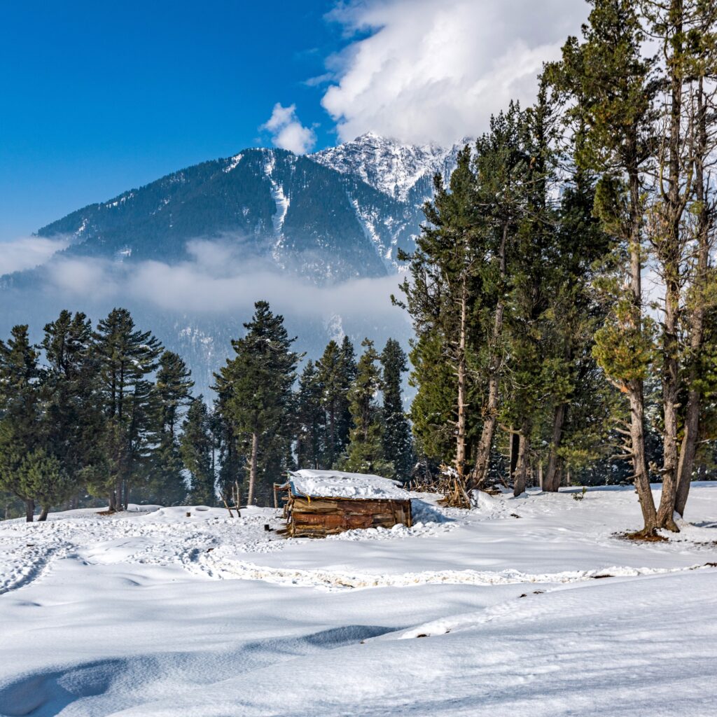 Kashmir Tour