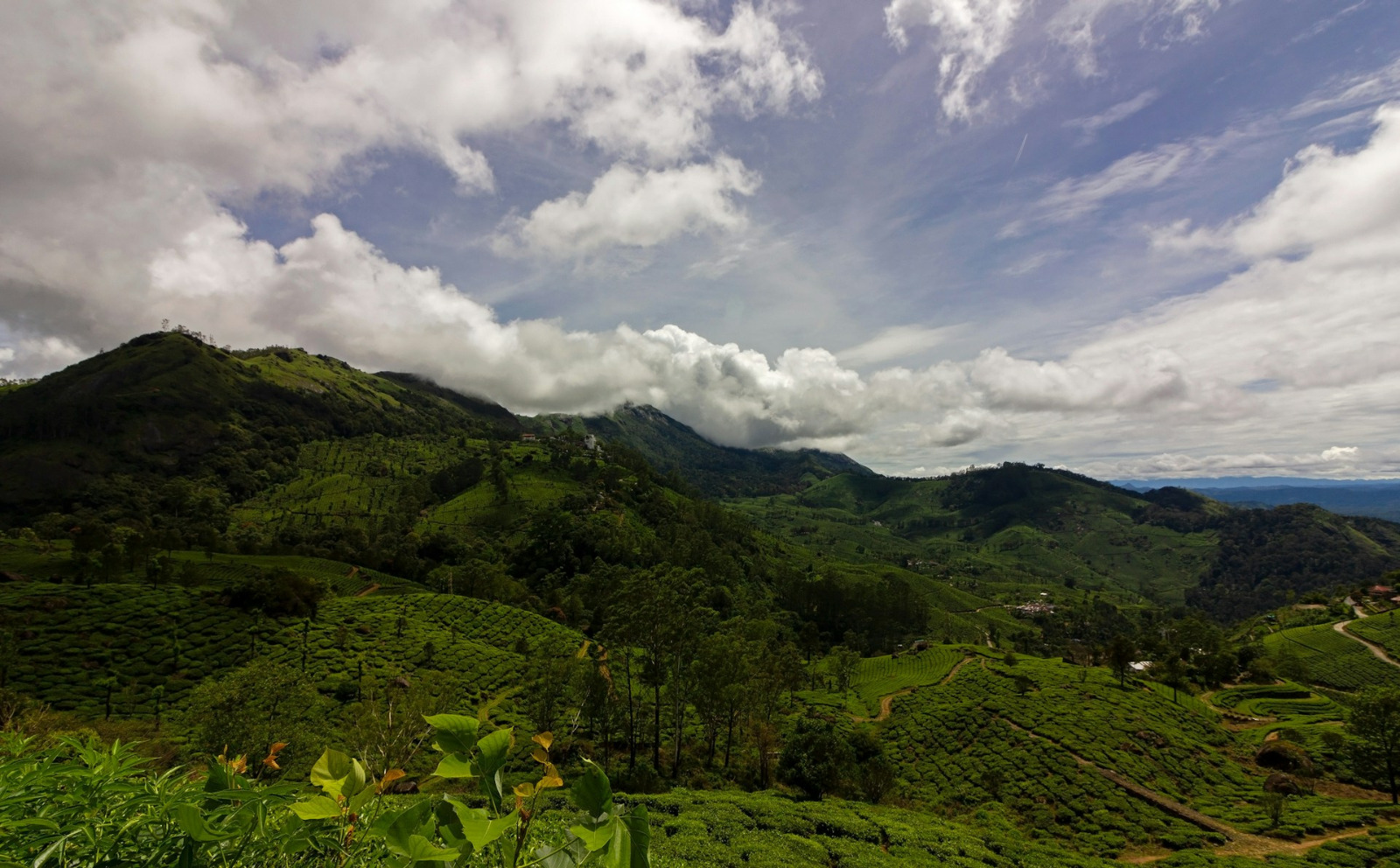 Ooty